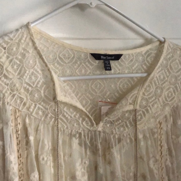 Beautiful Cream Lace Dress Wedding, Blue Tassel Anthropologie - Picture 3 of 9
